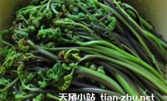 蕨菜的功效与作用， 蕨菜怎么做好吃不苦？
