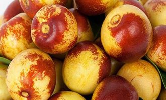 冬枣的功效与作用，冬枣是热性还是凉性水果？