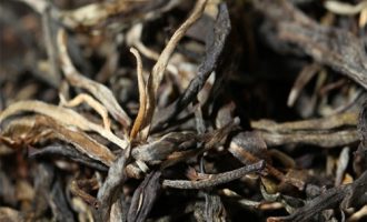 普洱茶的功效与作用，普洱茶越久越好吗？
