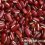 赤小豆的功效与作用，意米仁和赤小豆怎么能除湿？